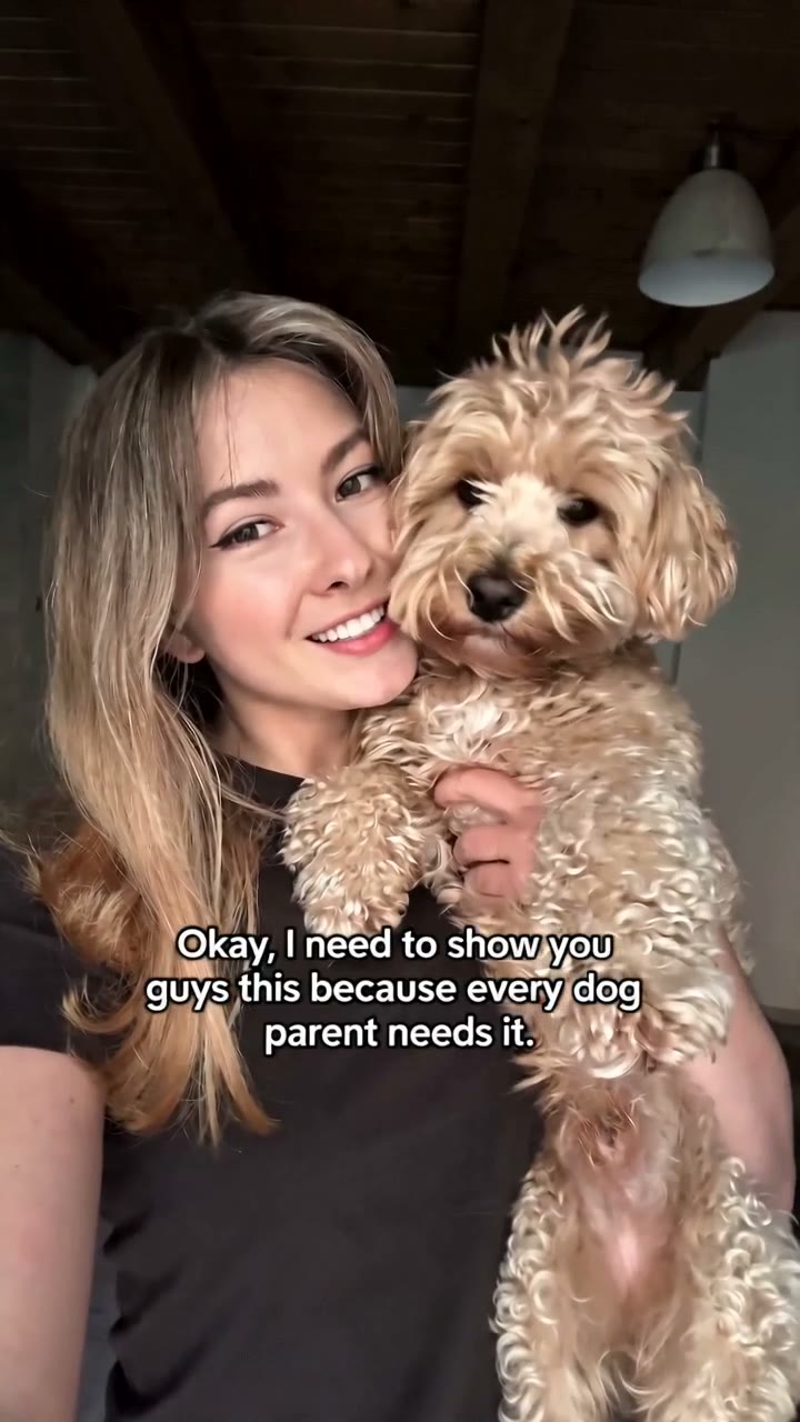 Pet-care app walkthrough, dog in frame