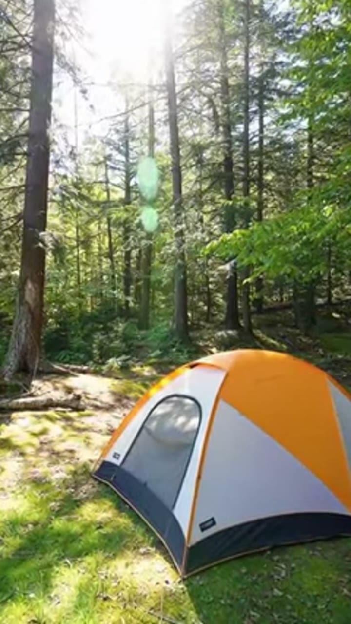 Forest tent product film